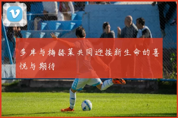 多库与梅赫莱共同迎接新生命的喜悦与期待